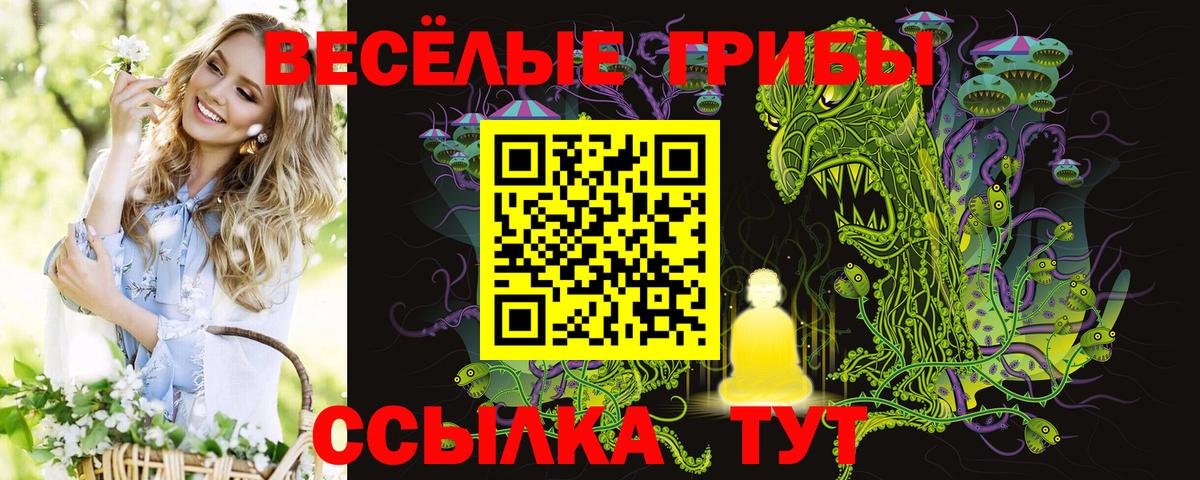 Галлюциногенные грибы Psilocybe  Вход с VPN  Галлюциногенные грибы Cubensis  как найти наркотики  Симферополь 